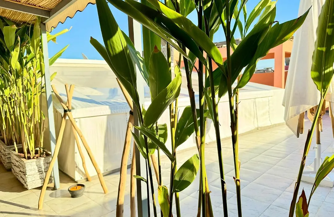Riad Arrahma-1