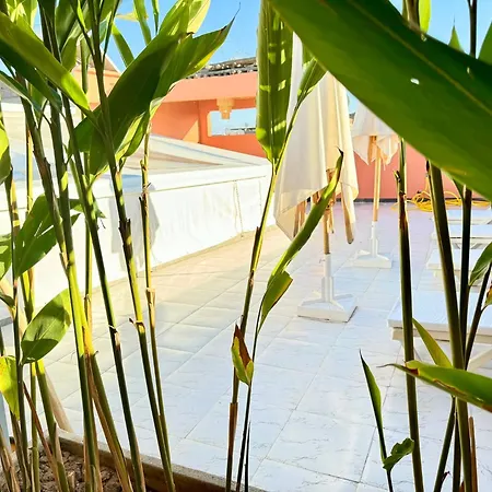 Riad Arrahma-2